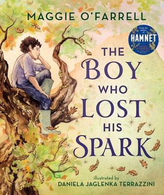 Couverture du livre *The boy who lost his spark*