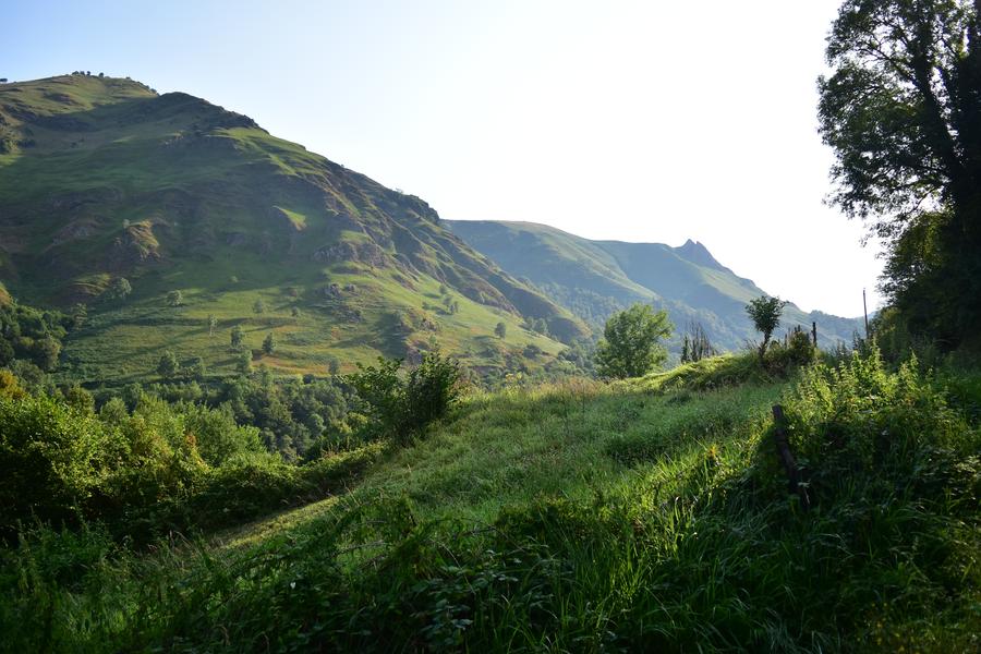 Une montage, ou une grosse colline, vue d'en bas. Elle est pleine de végétation.