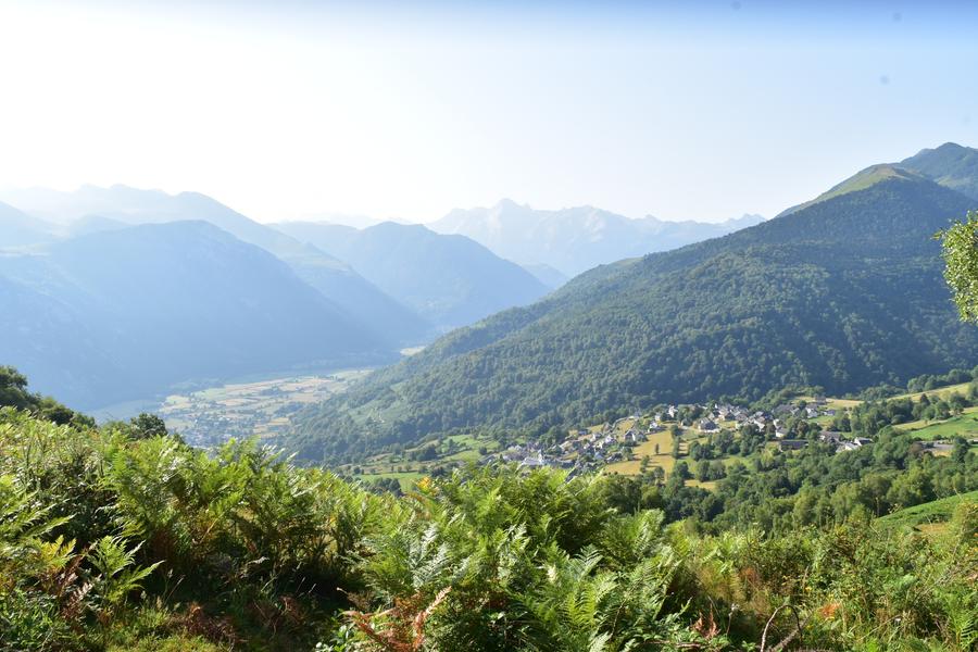 La vallée d'Ossau, vue d'un petit peu haut. On voit des fougères vertes au premier plan, un village au milieu, le fond de la vallée tout plat, et enfin les monts en arrière plan.